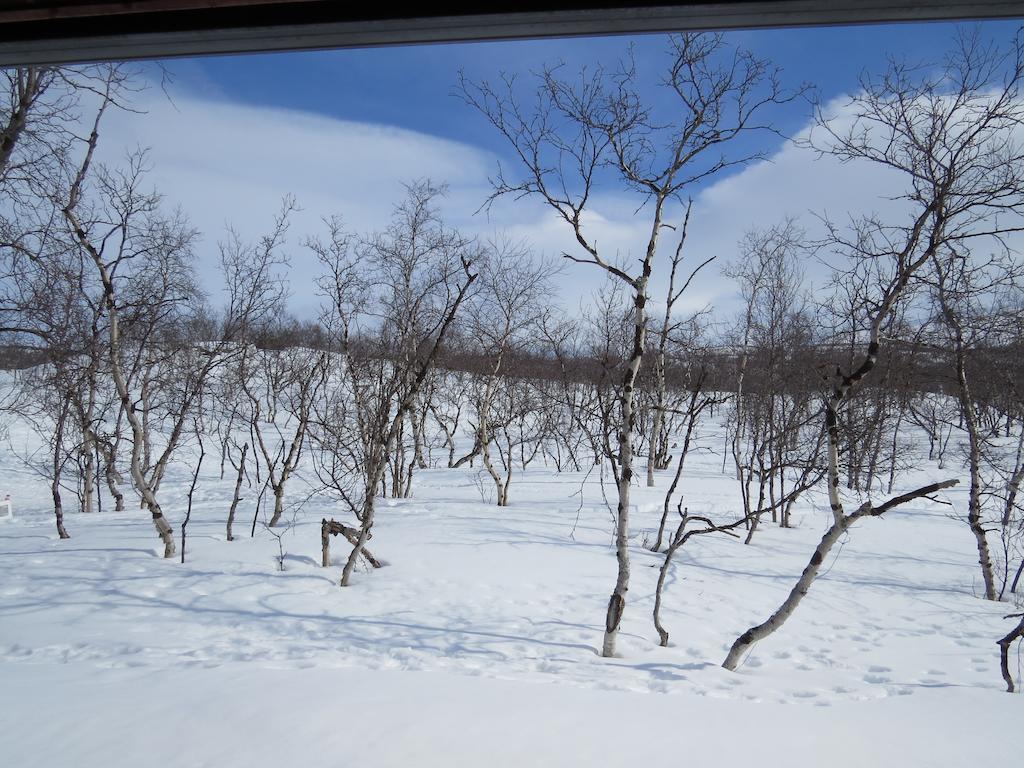 Arctic Polar Village 3*