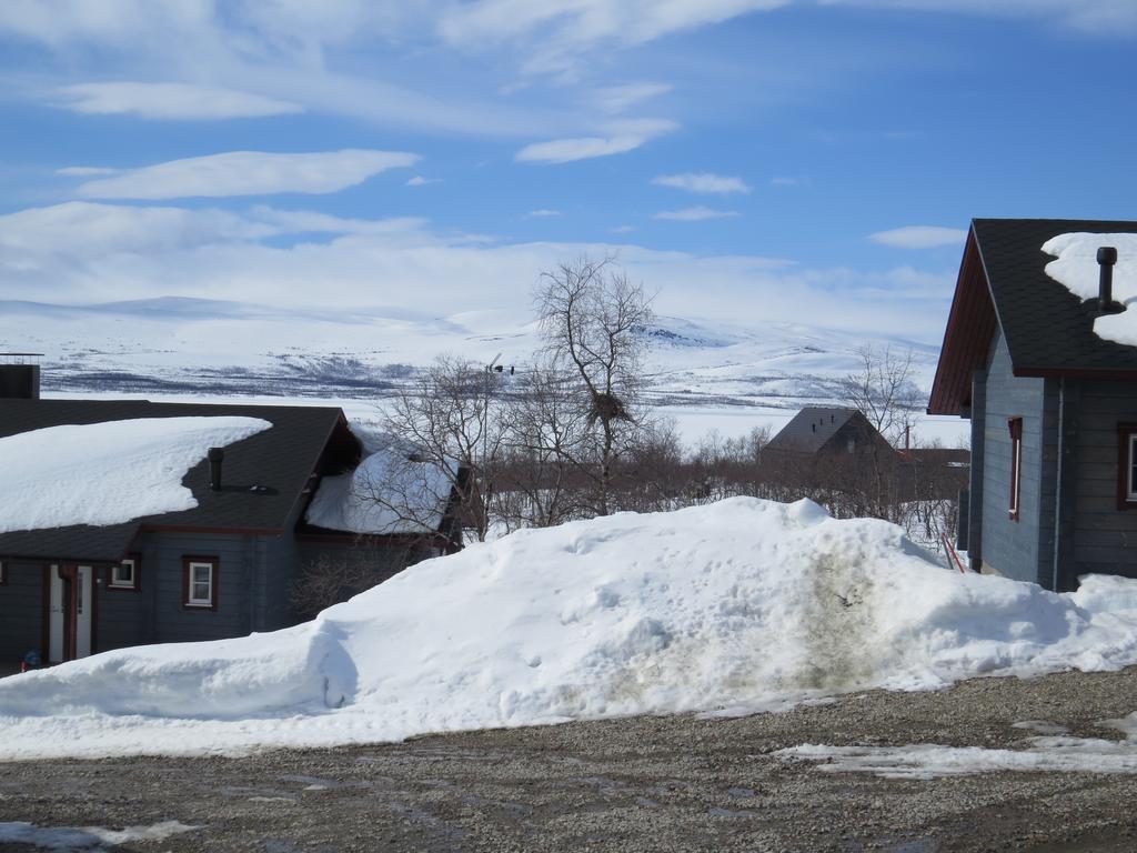 Arctic Polar Village